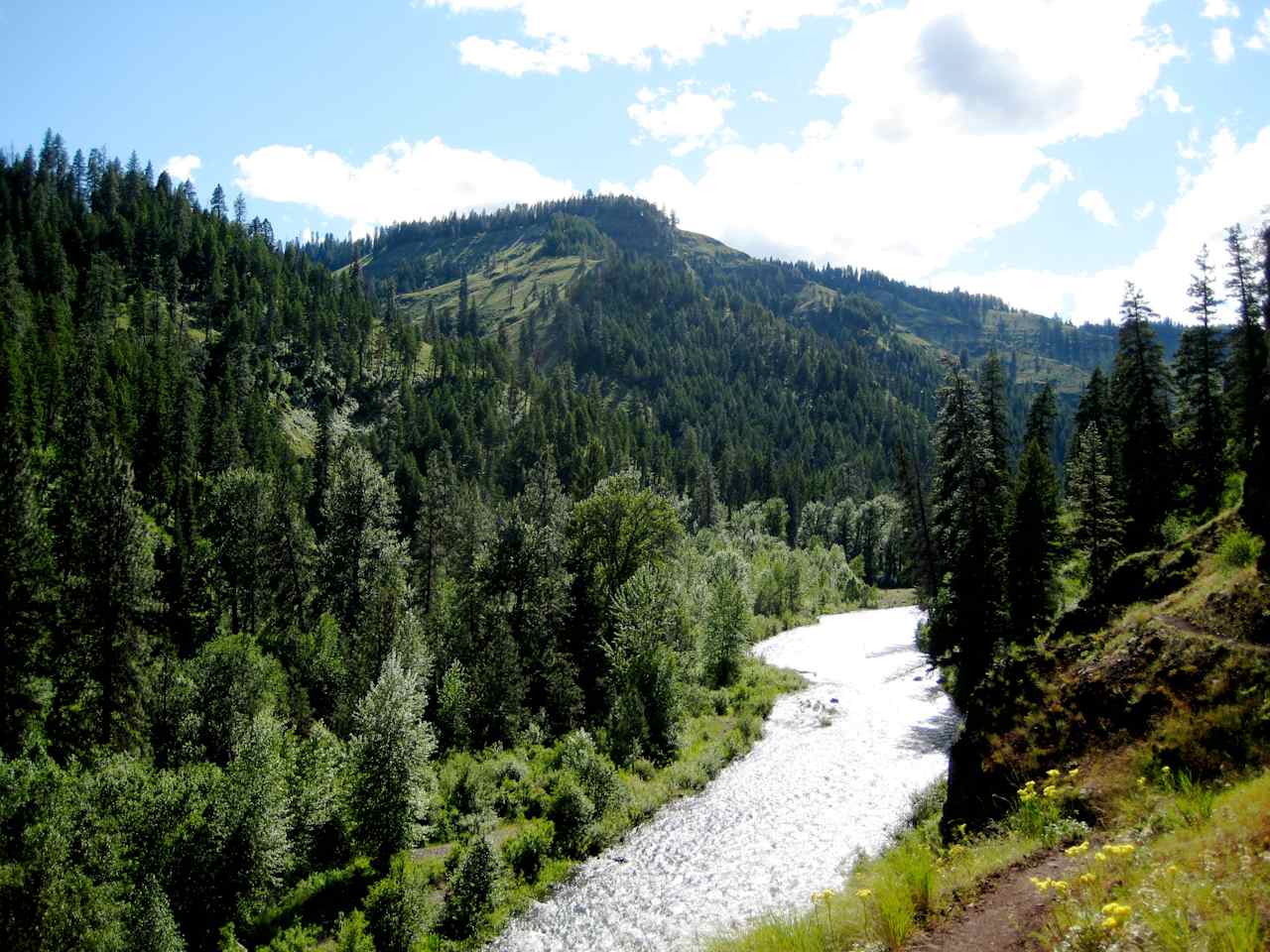 Umatilla National Forest