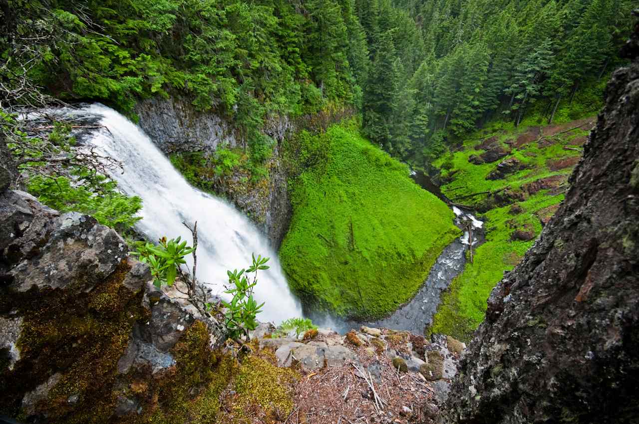 Willamette National Forest