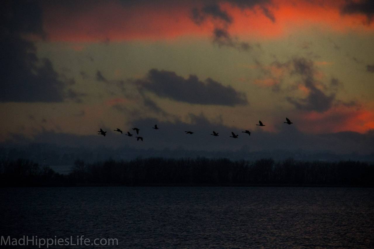 Cherry Creek State Park