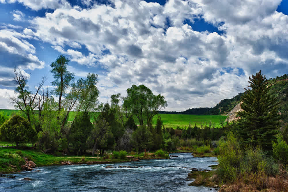 Ridgway State Park