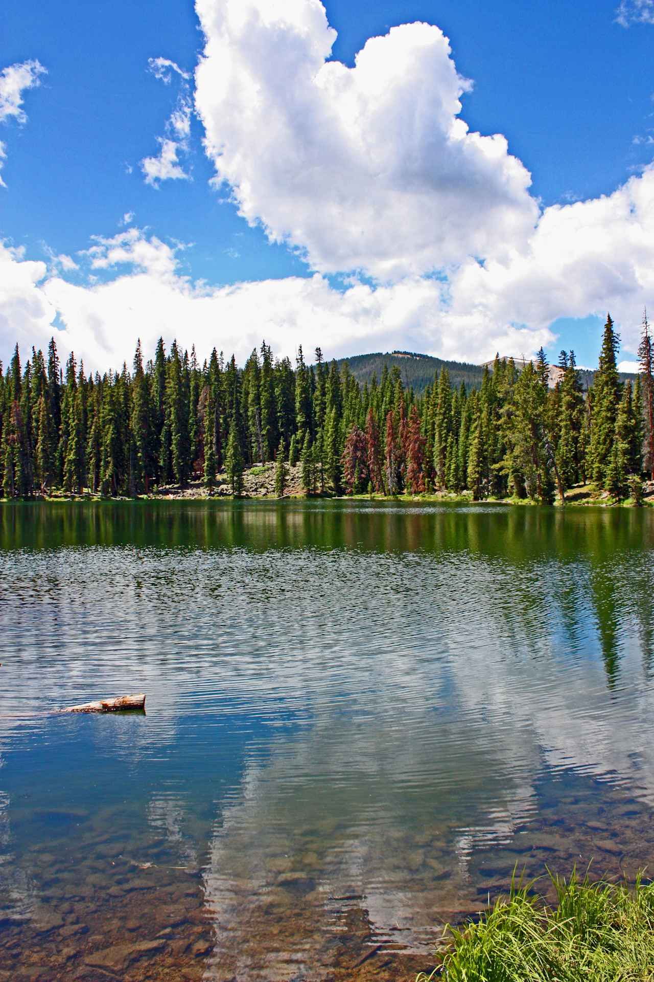 Arapaho National Forest