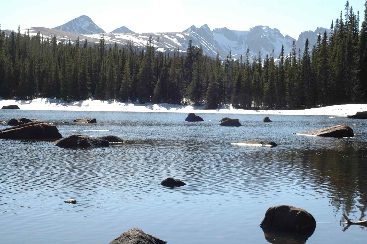 Roosevelt National Forest