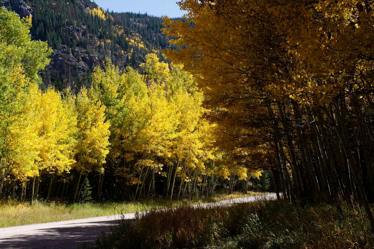 Bellaire Lake Campground