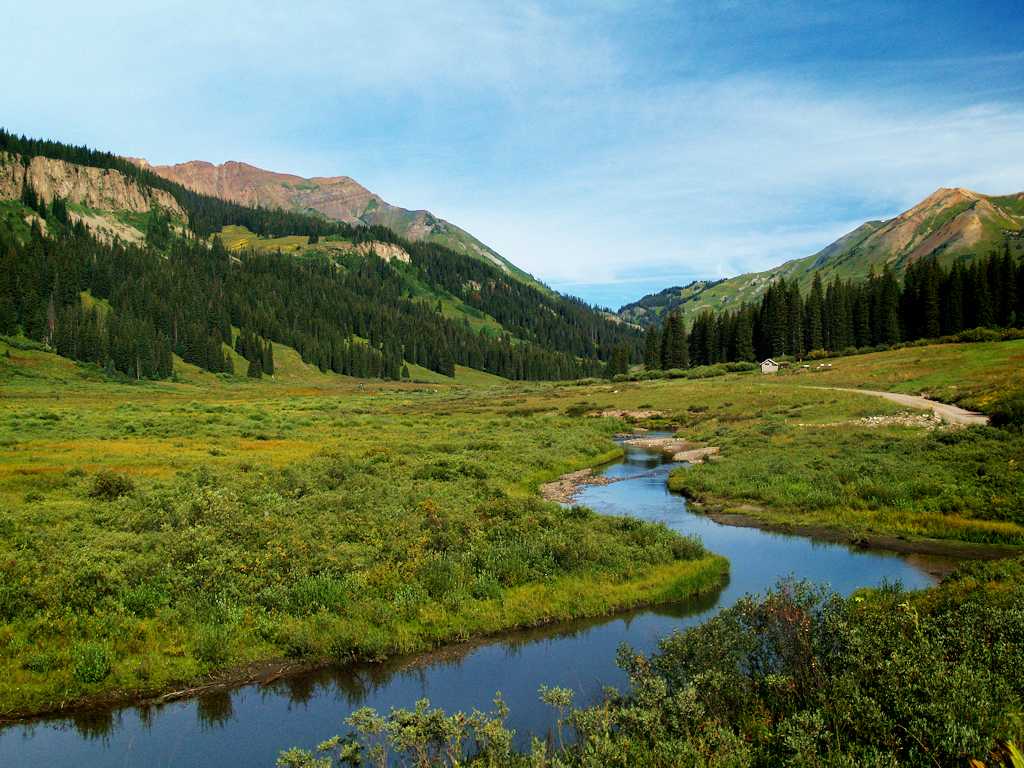 Gunnison National Forest