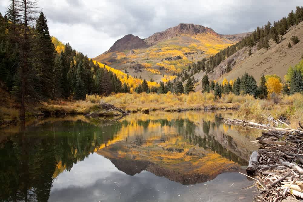 Rio Grande National Forest