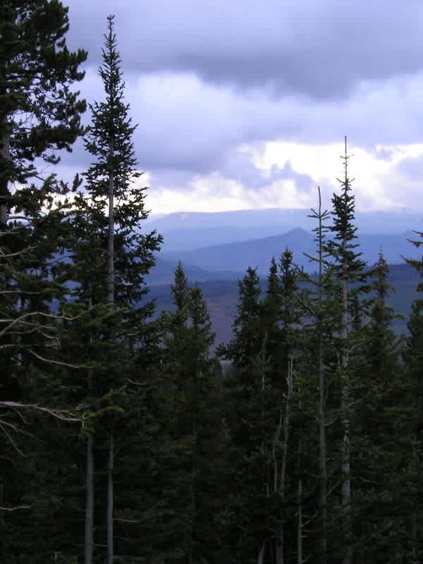 Routt National Forest