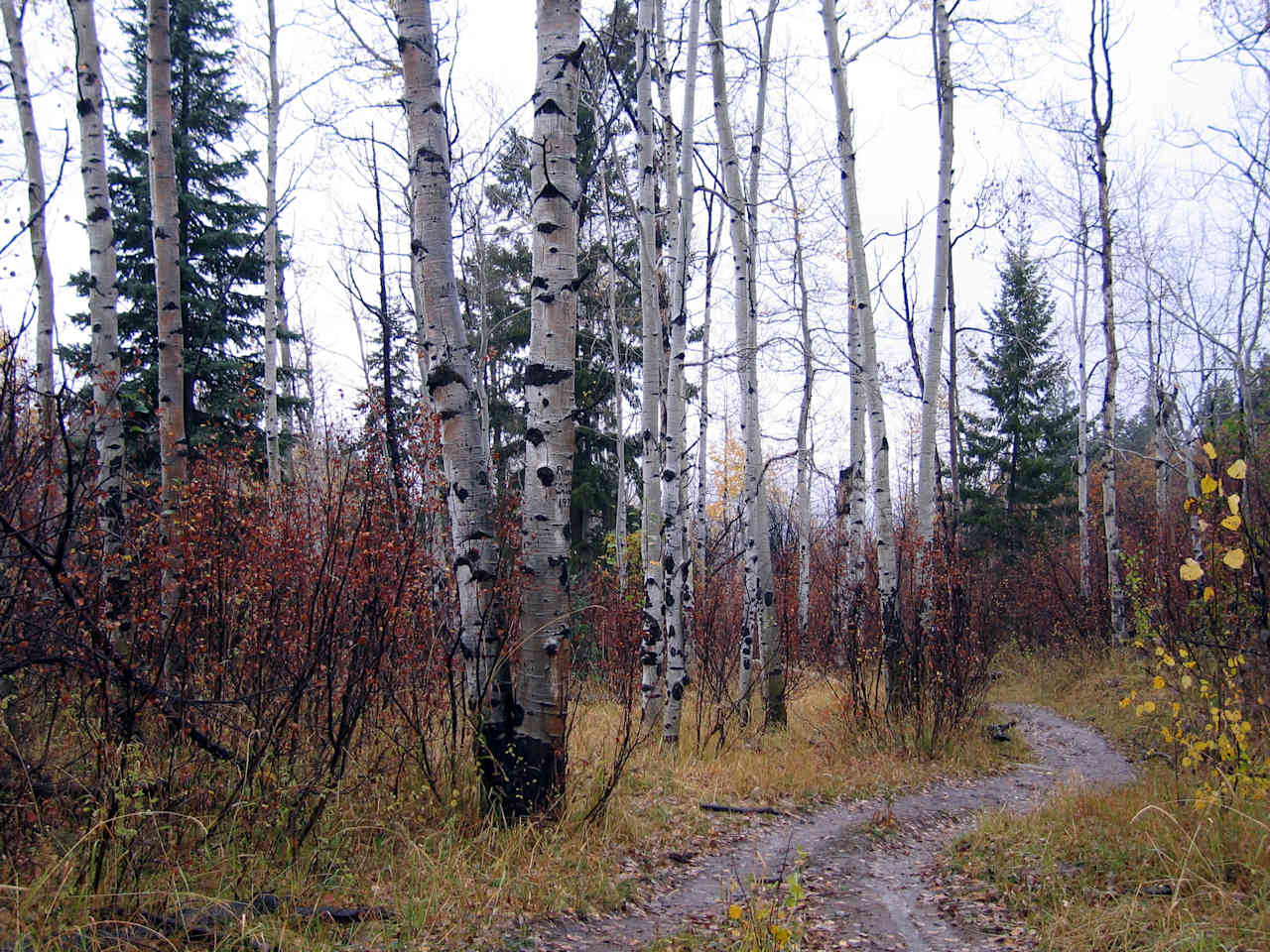 Freeman Reservoir Campground