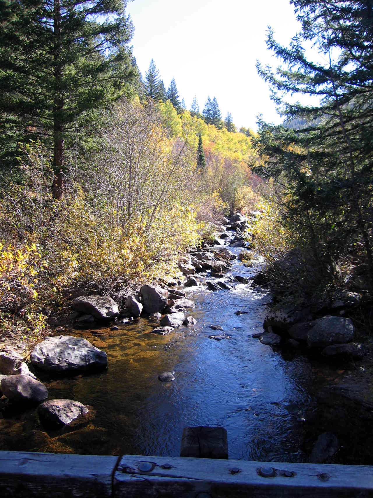 Lynx Pass Campground