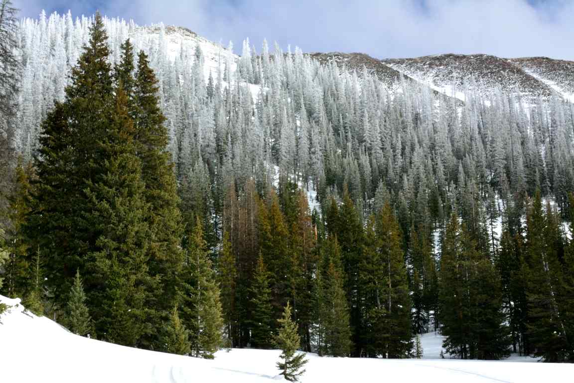 Chapman Reservoir Campground