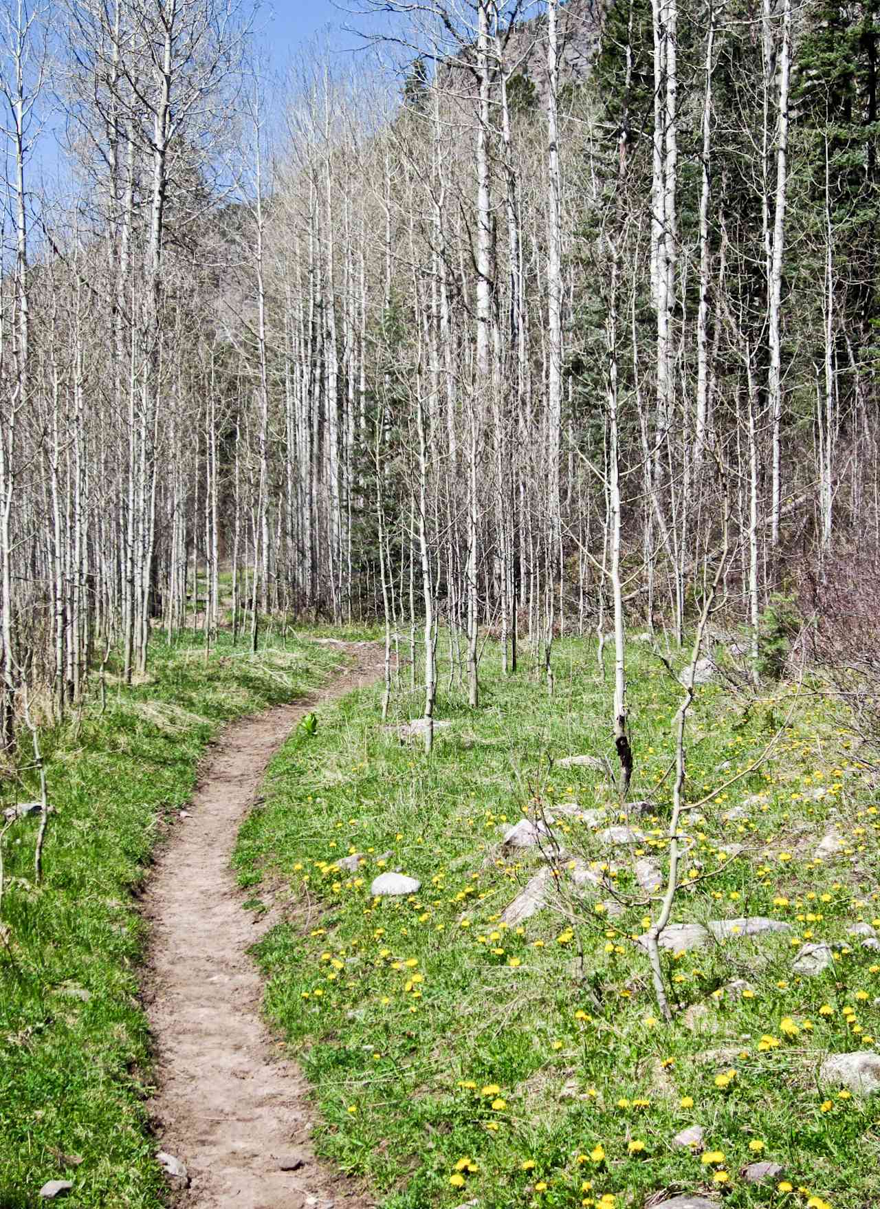 Middle Mountain Campground