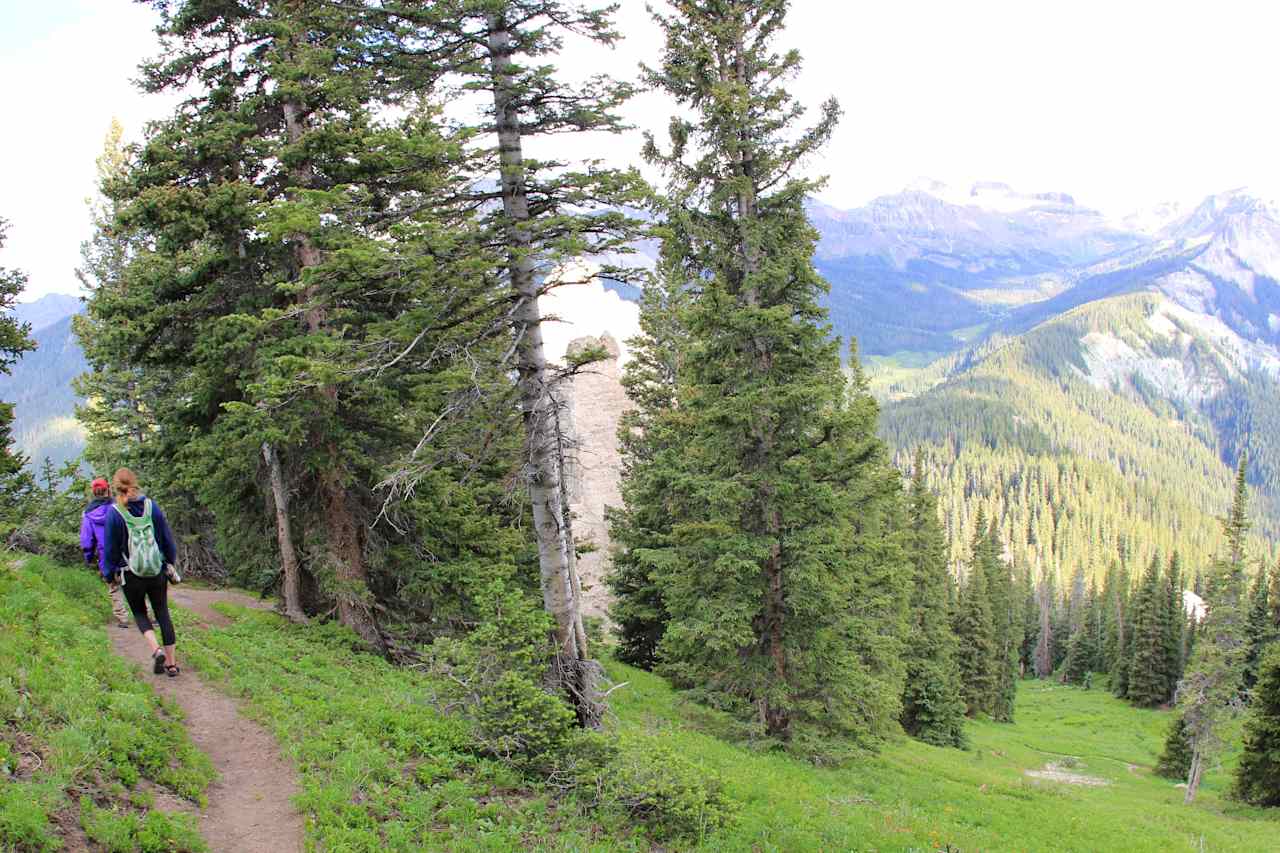 Uncompahgre National Forest