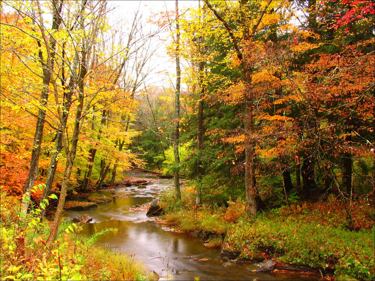 Allegany State Park