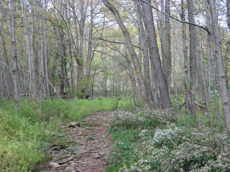 Devil's Tombstone Campground