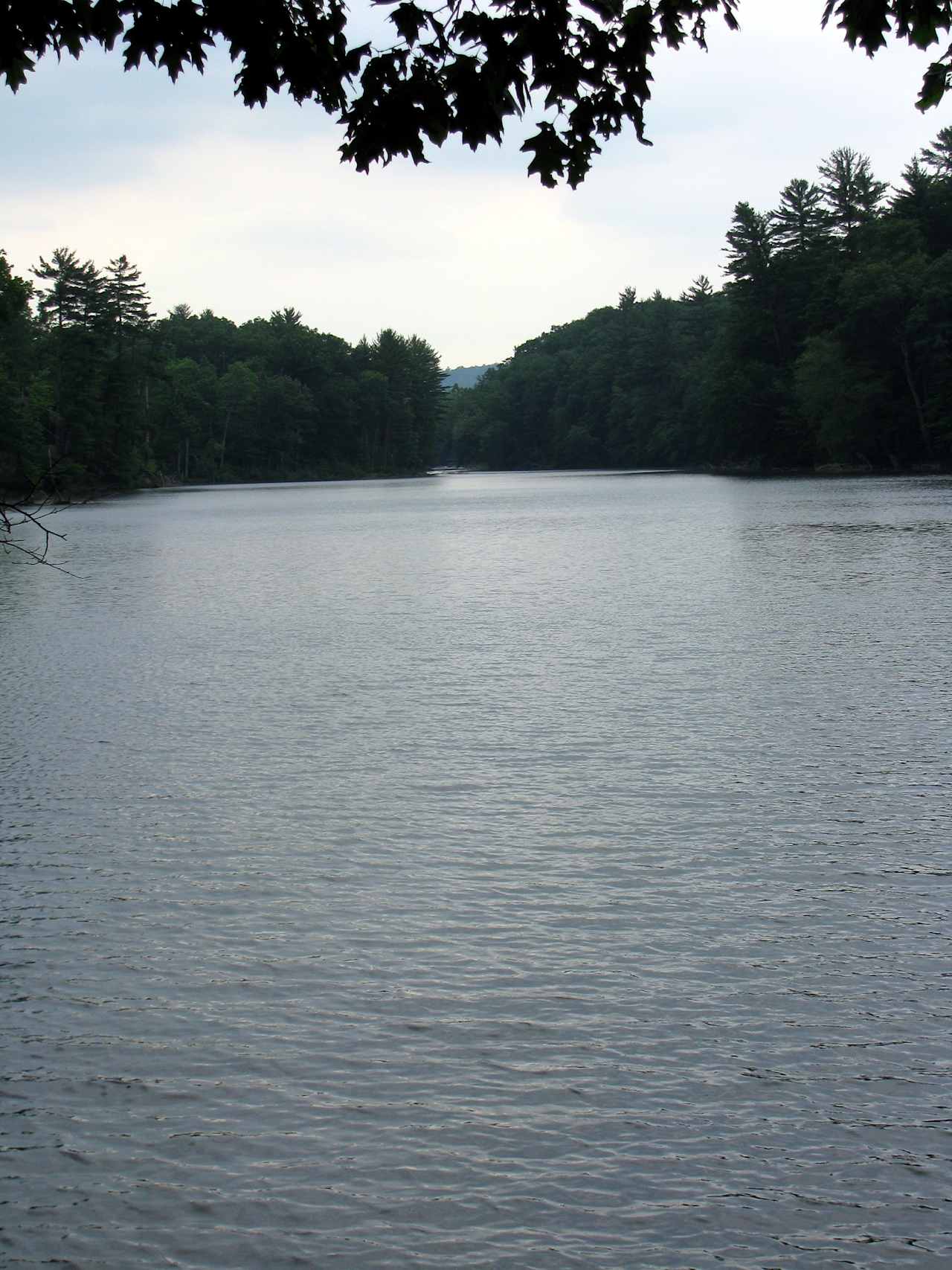 Chenango Valley State Park