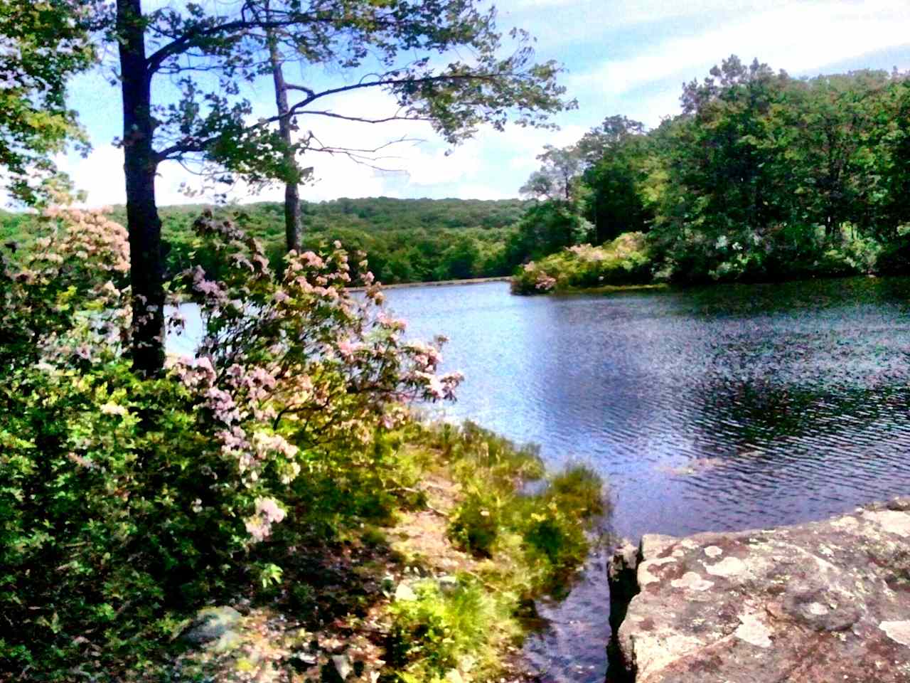 Beaver Pond Campgrounds