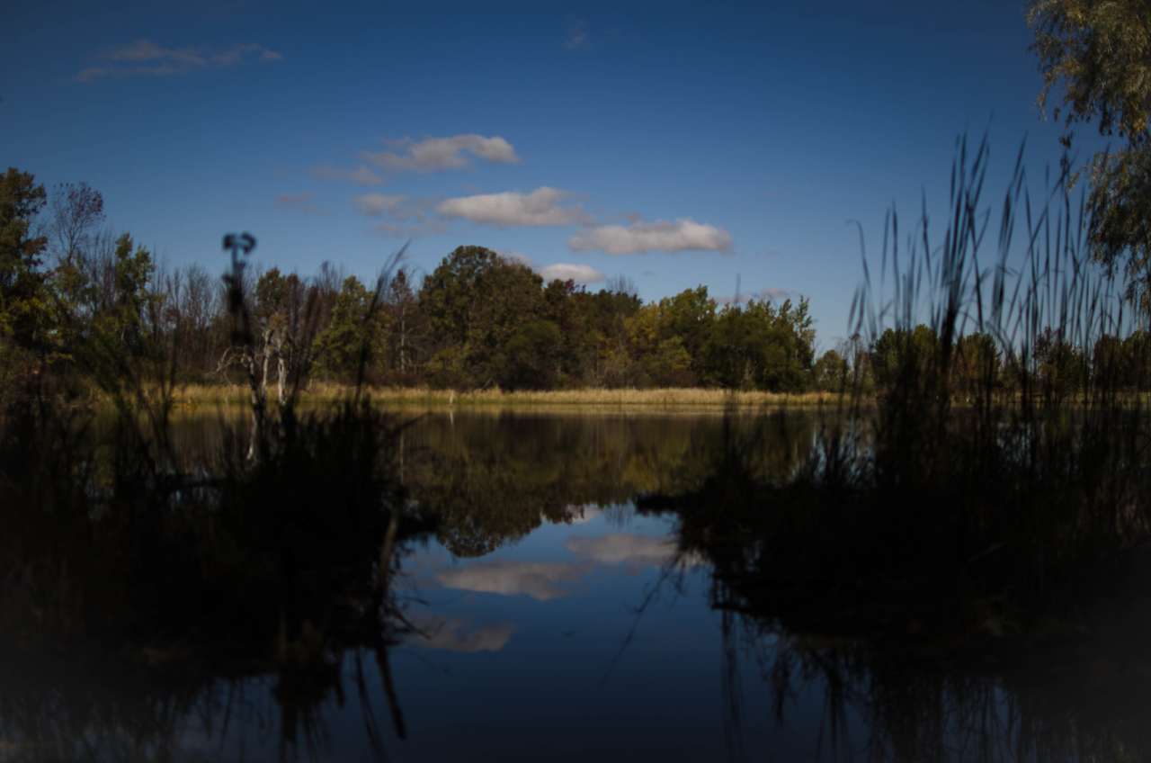 Backbone Horse Campground