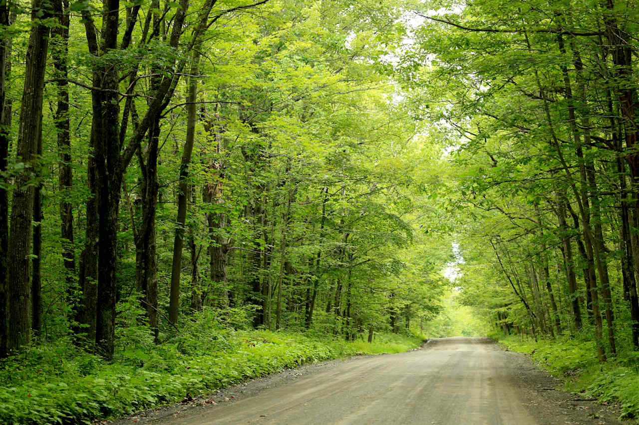 Potomac Group Campground