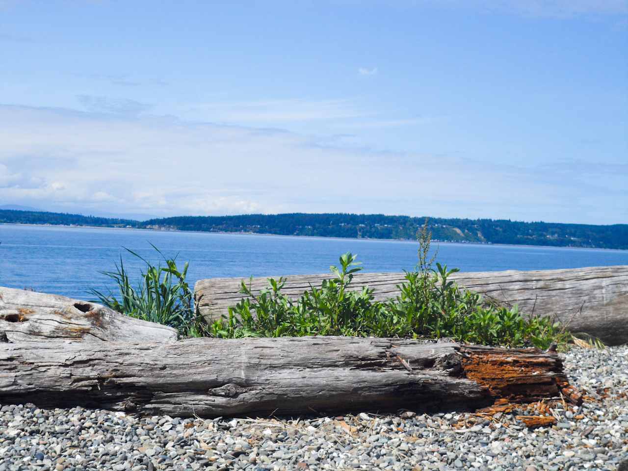 Camano Island Group Campground