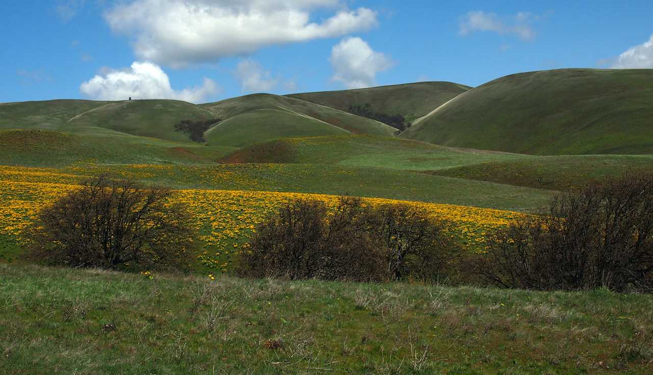 Columbia Hills State Park