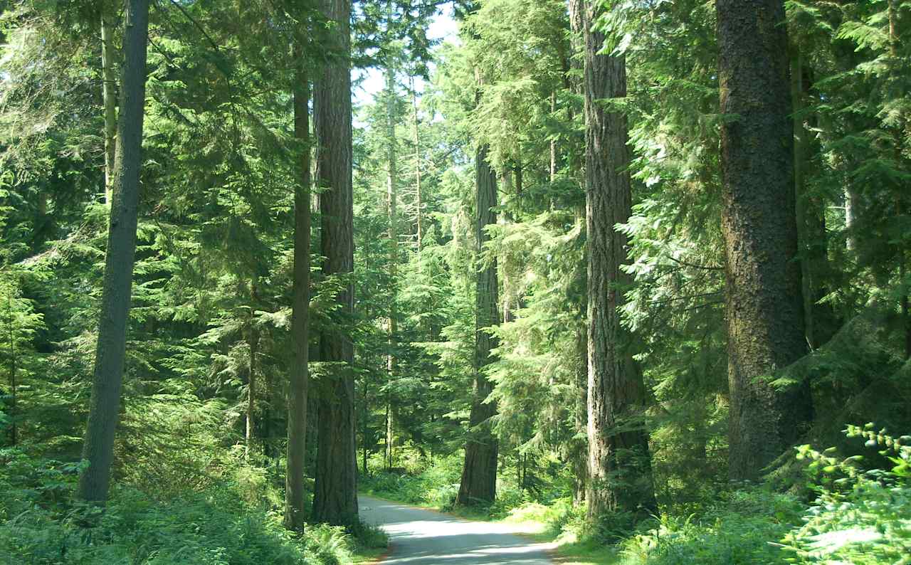 Deception Pass Group Campground