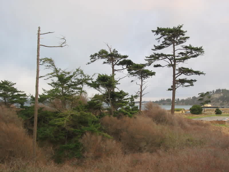 Beach Campground