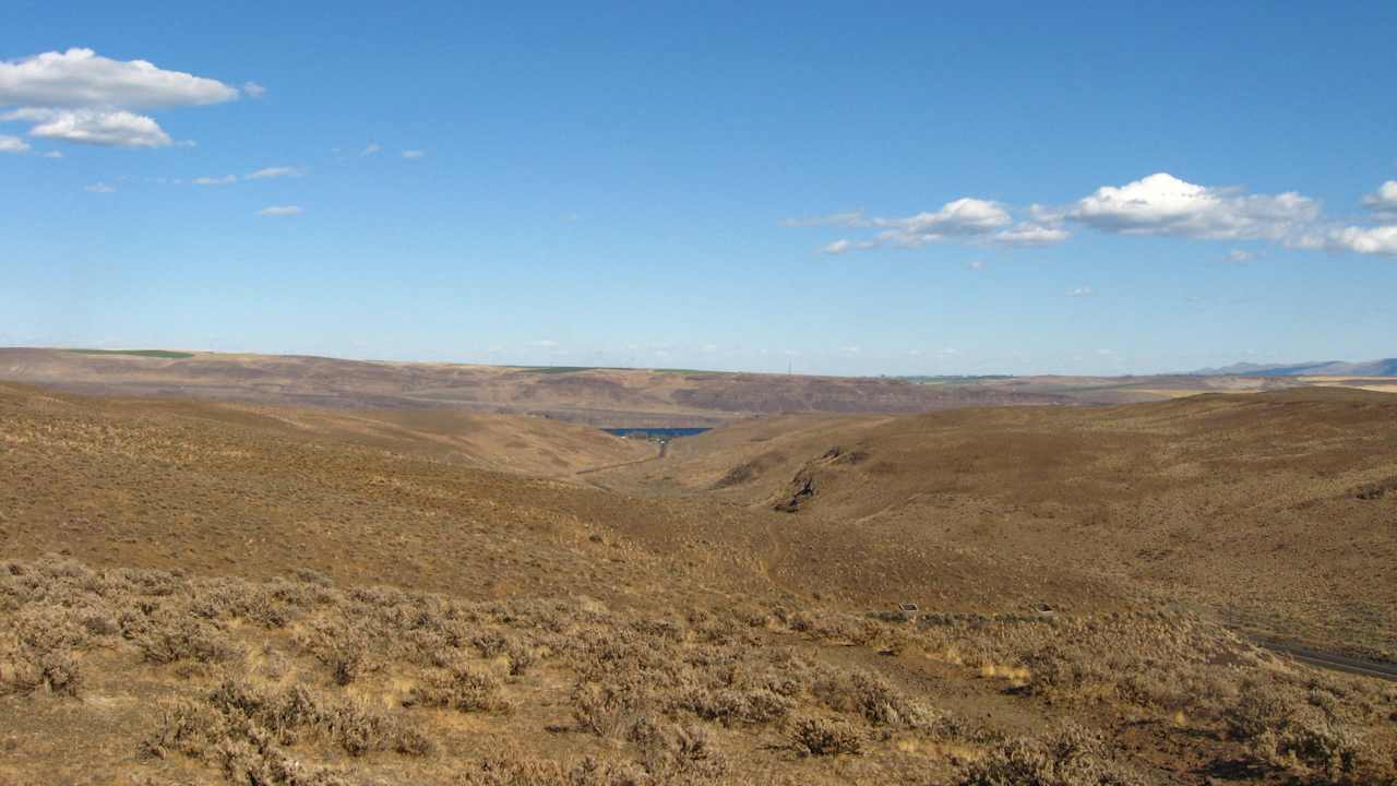 Ginkgo Petrified Forest State Park