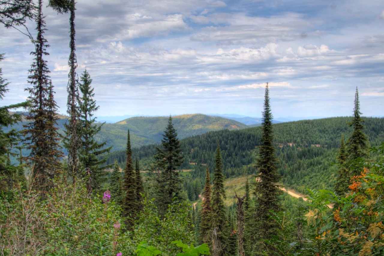 Mount Spokane State Park