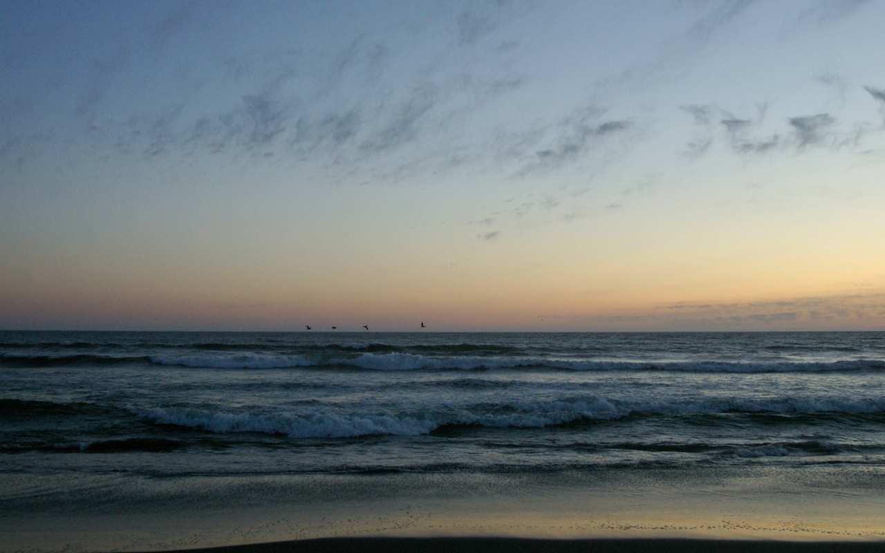 Twin Harbors State Park