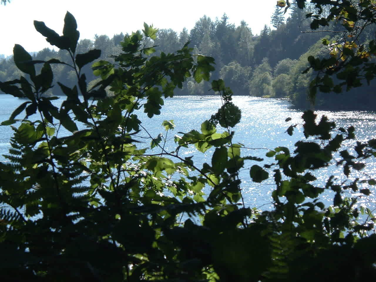 Mayfield Lake Park