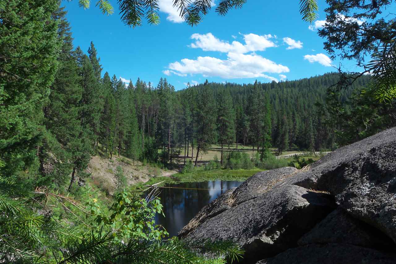 Colville National Forest