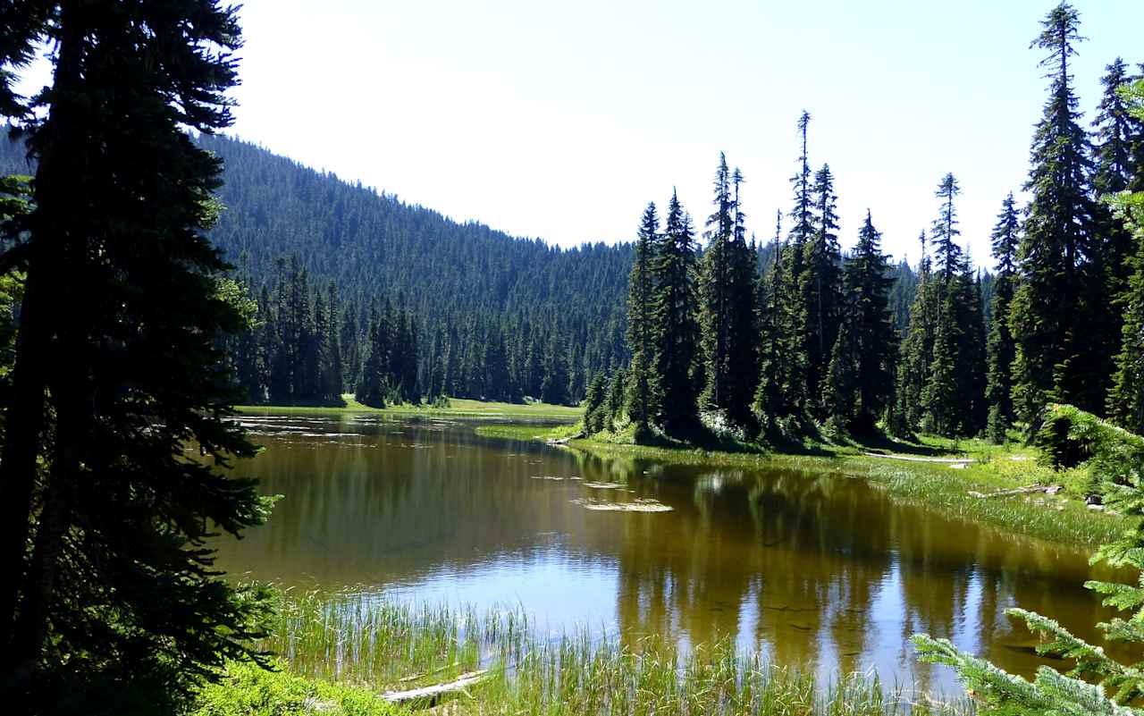 North Fork Bear Group Campground