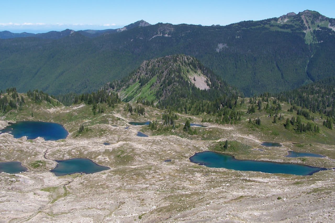 Dosewallips Campground