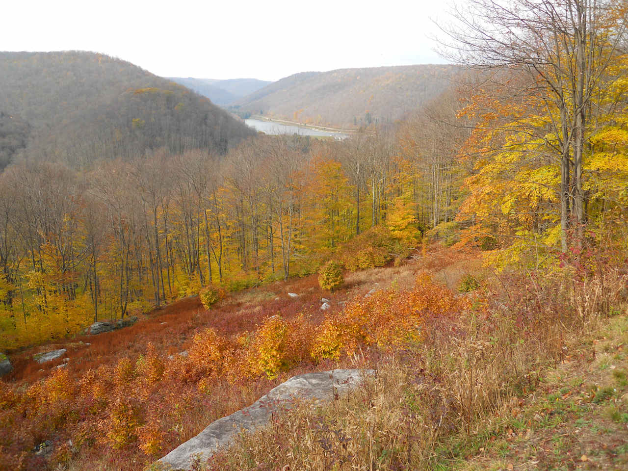 Lyman Run State Park