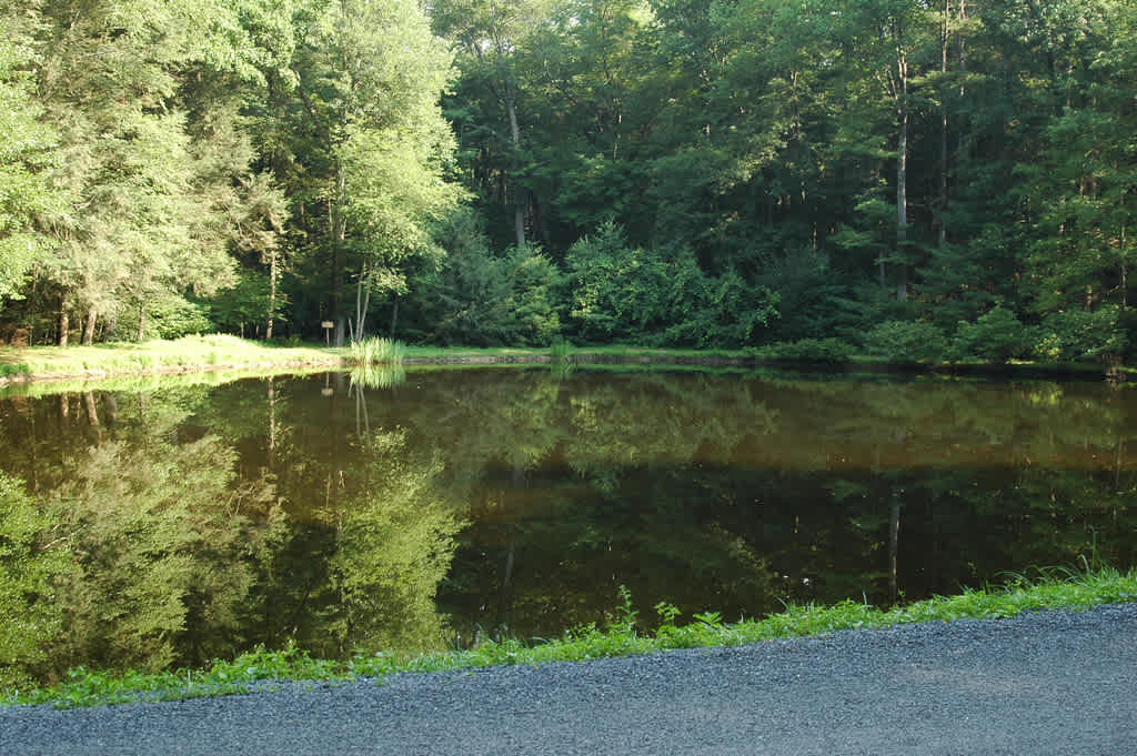 Chinquapin Hill Campground