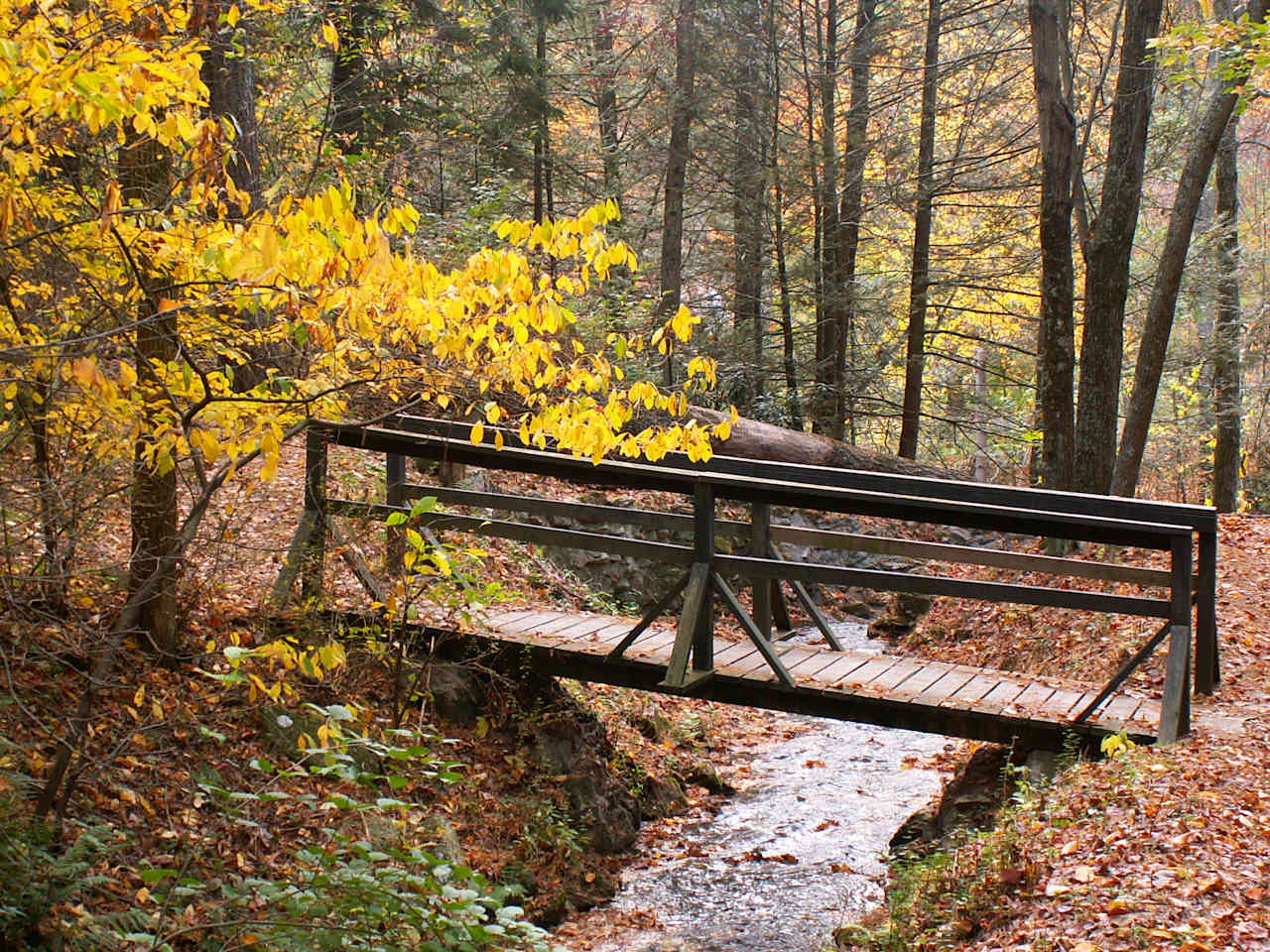 Hosack Run Campground