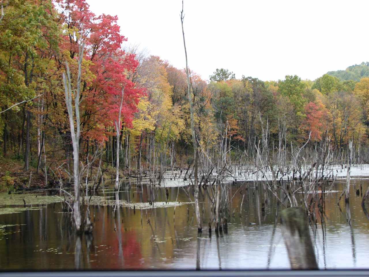 Moraine Park Campground