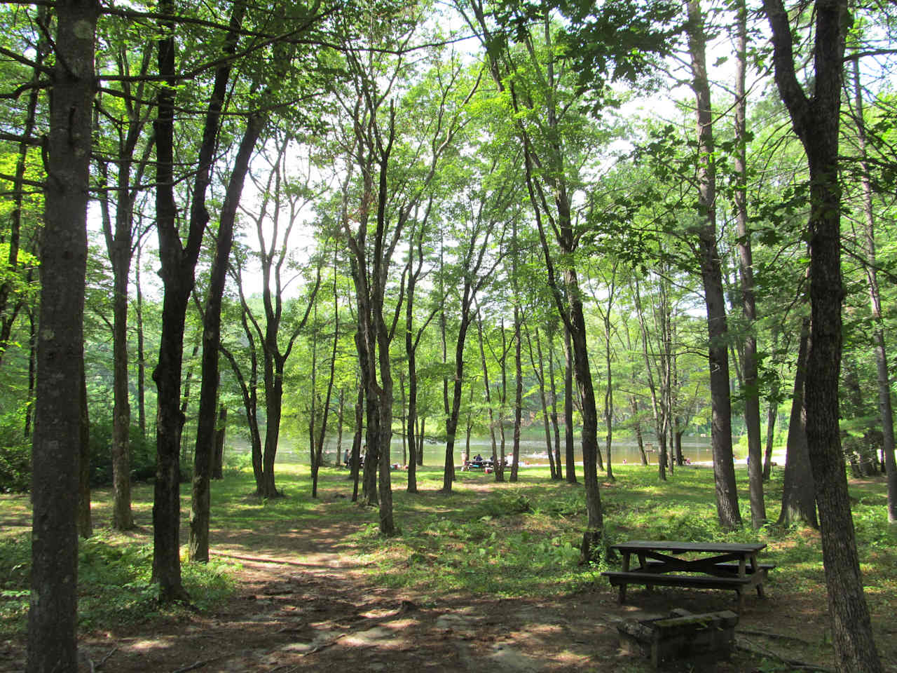 Pearl Hill State Park