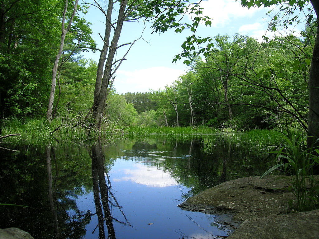 Wells State Park