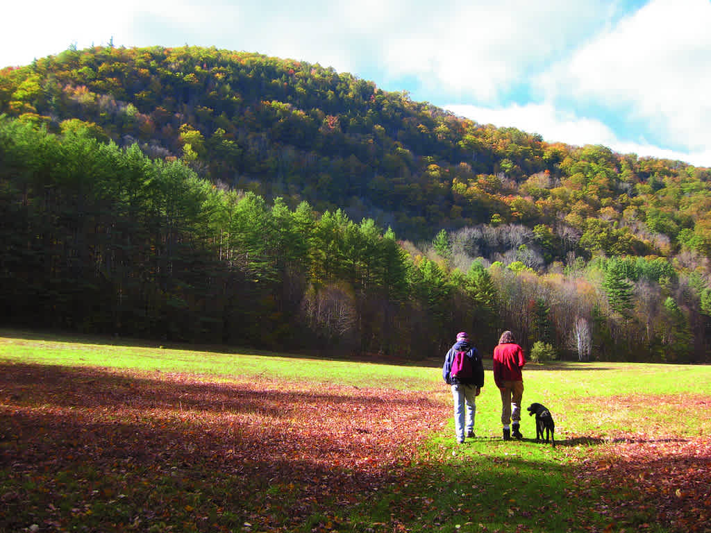 Mohawk Trail State Forest