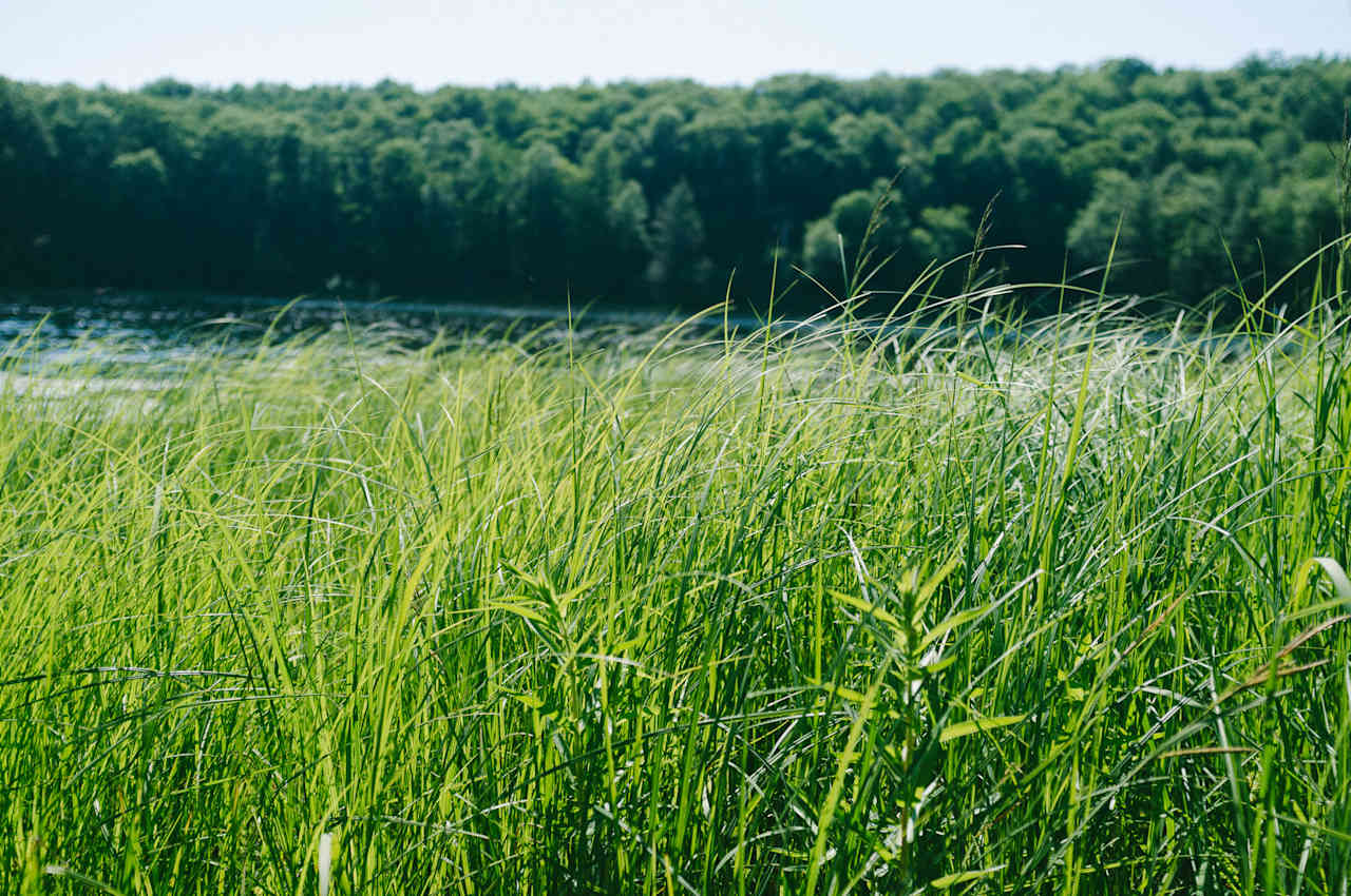 Half Moon Pond State Park