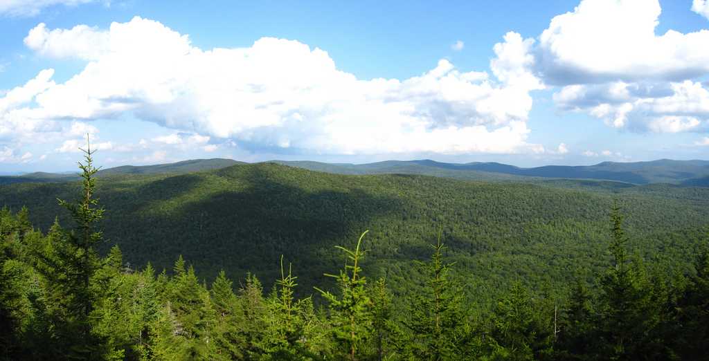 Green Mountain National Forest