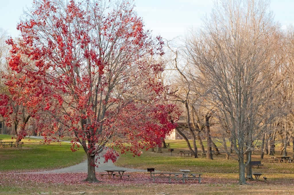 Round Valley Campground