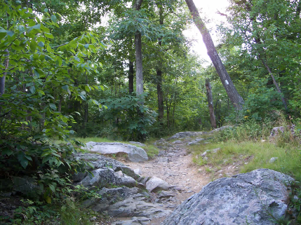 Lake Ocquittunk Campground