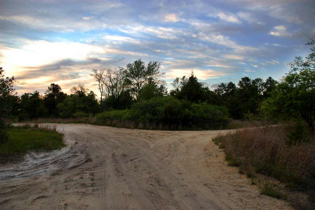 Bodine Field Camping Area