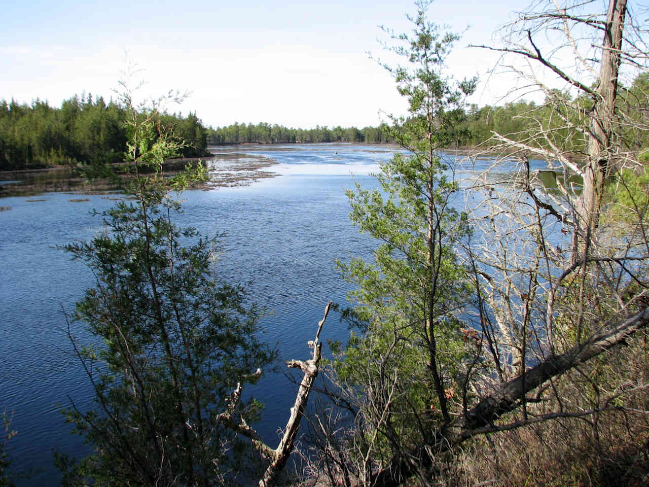 Buttonwood Hill Camping Area