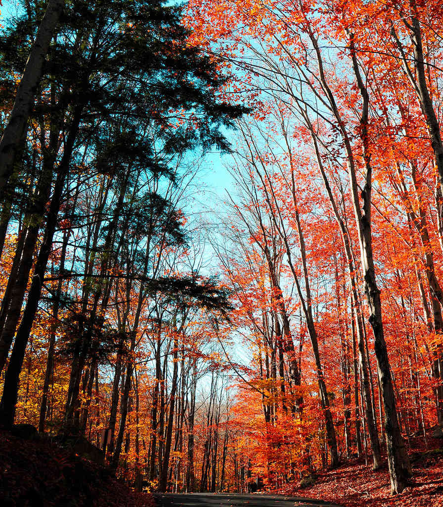 Franconia Notch State Park