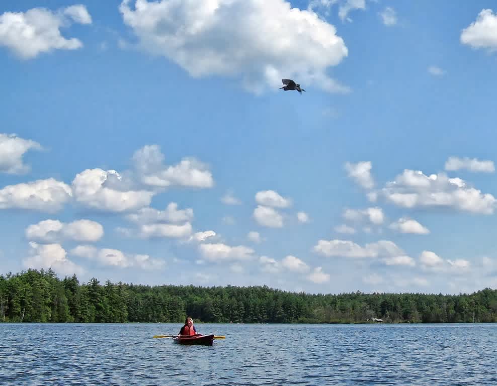 Greenfield State Park