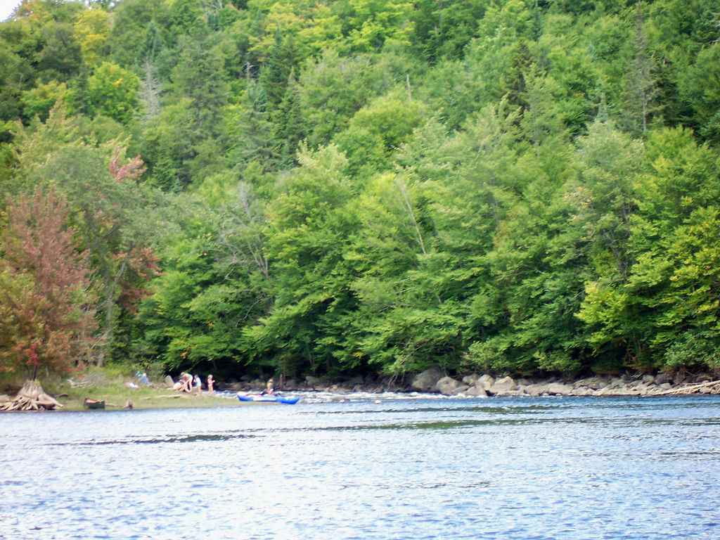 Lake Francis campground