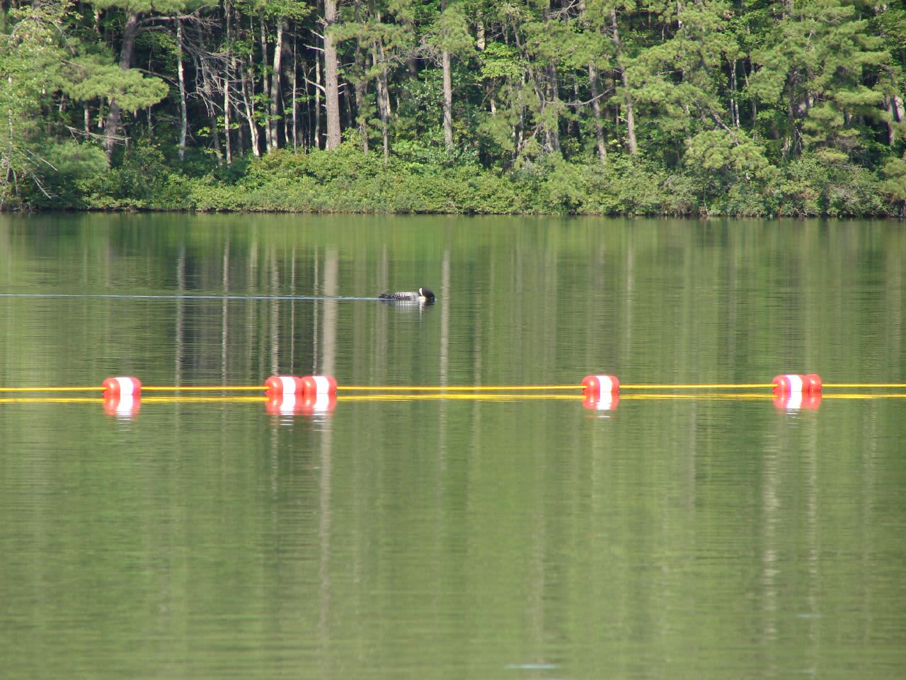 White Lake State Park