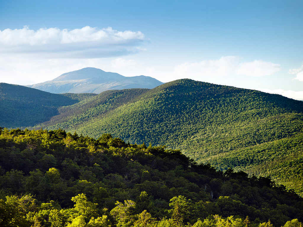 Rocky Branch Shelter #2